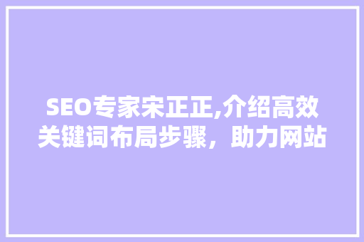 SEO专家宋正正,介绍高效关键词布局步骤，助力网站优化之路