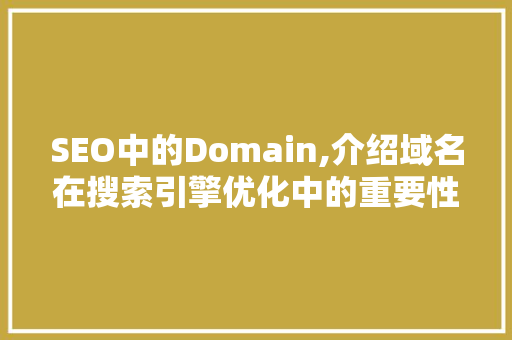 SEO中的Domain,介绍域名在搜索引擎优化中的重要性