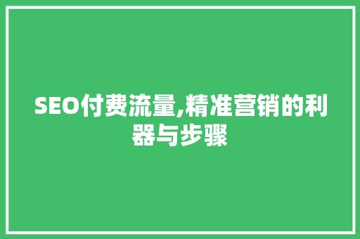 SEO付费流量,精准营销的利器与步骤