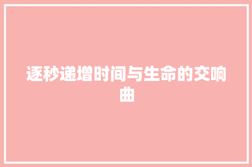 逐秒递增时间与生命的交响曲