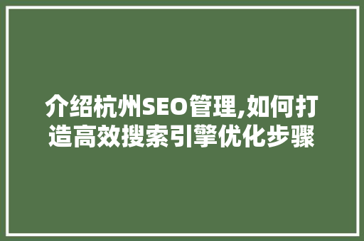 介绍杭州SEO管理,如何打造高效搜索引擎优化步骤