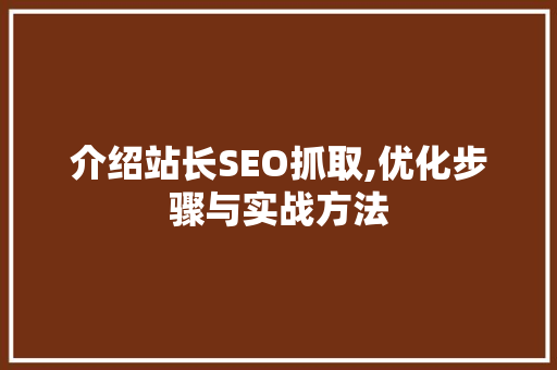介绍站长SEO抓取,优化步骤与实战方法