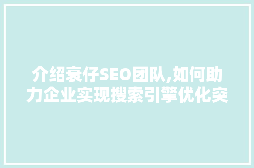 介绍衰仔SEO团队,如何助力企业实现搜索引擎优化突破
