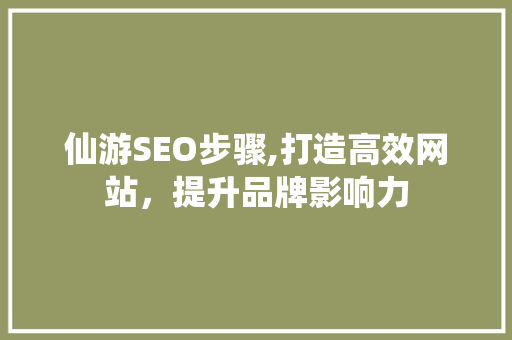 仙游SEO步骤,打造高效网站，提升品牌影响力