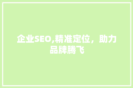 企业SEO,精准定位，助力品牌腾飞