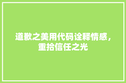 道歉之美用代码诠释情感，重拾信任之光