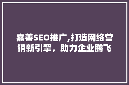 嘉善SEO推广,打造网络营销新引擎，助力企业腾飞
