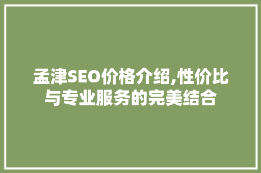 孟津SEO价格介绍,性价比与专业服务的完美结合