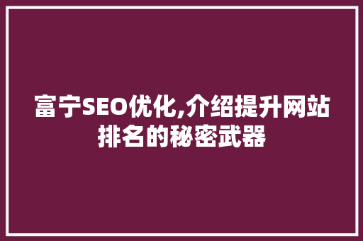 富宁SEO优化,介绍提升网站排名的秘密武器