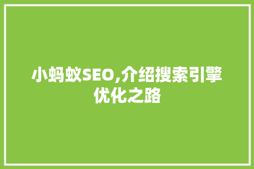 小蚂蚁SEO,介绍搜索引擎优化之路
