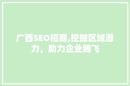 广西SEO招商,挖掘区域潜力，助力企业腾飞