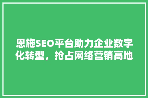 恩施SEO平台助力企业数字化转型，抢占网络营销高地