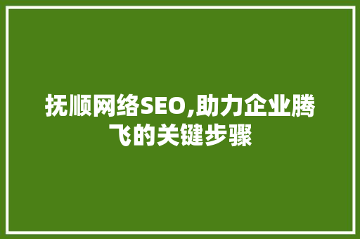 抚顺网络SEO,助力企业腾飞的关键步骤