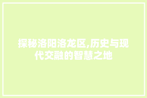 探秘洛阳洛龙区,历史与现代交融的智慧之地