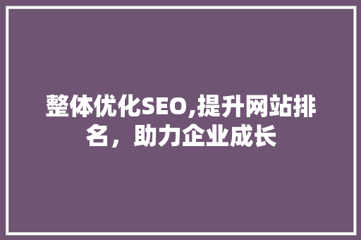 整体优化SEO,提升网站排名，助力企业成长