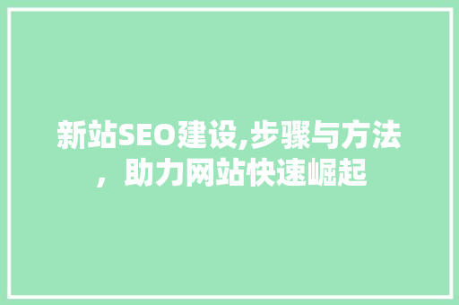 新站SEO建设,步骤与方法，助力网站快速崛起