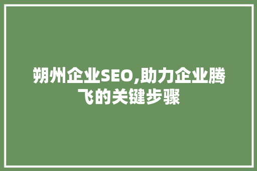 朔州企业SEO,助力企业腾飞的关键步骤