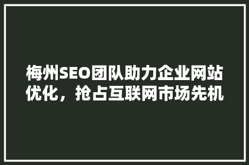 梅州SEO团队助力企业网站优化，抢占互联网市场先机