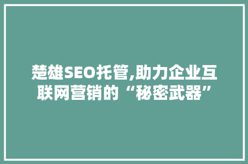 楚雄SEO托管,助力企业互联网营销的“秘密武器”