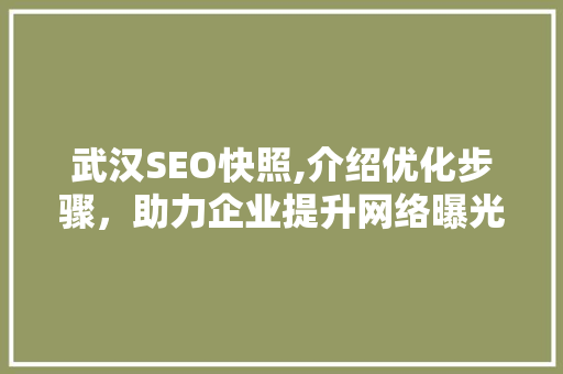 武汉SEO快照,介绍优化步骤，助力企业提升网络曝光度