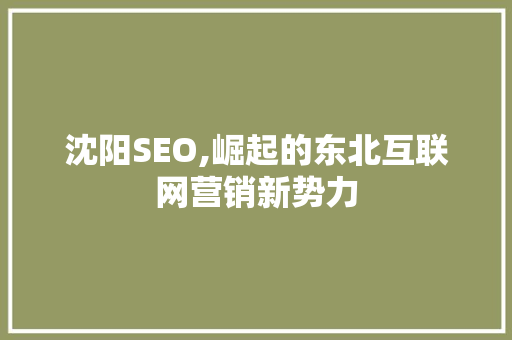 沈阳SEO,崛起的东北互联网营销新势力