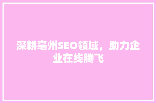 深耕亳州SEO领域，助力企业在线腾飞