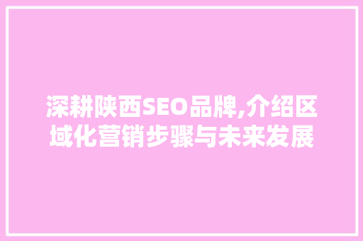 深耕陕西SEO品牌,介绍区域化营销步骤与未来发展