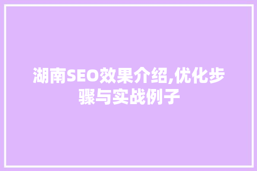 湖南SEO效果介绍,优化步骤与实战例子