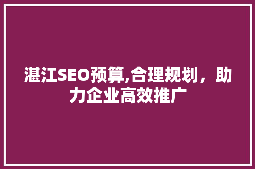 湛江SEO预算,合理规划，助力企业高效推广