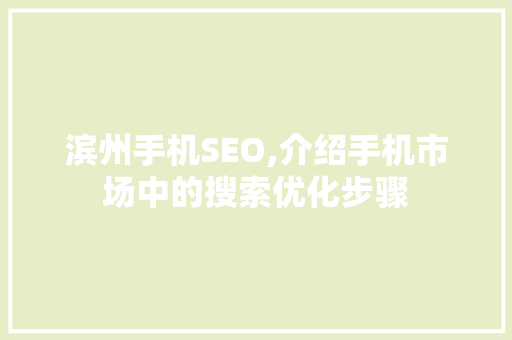 滨州手机SEO,介绍手机市场中的搜索优化步骤