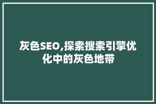 灰色SEO,探索搜索引擎优化中的灰色地带