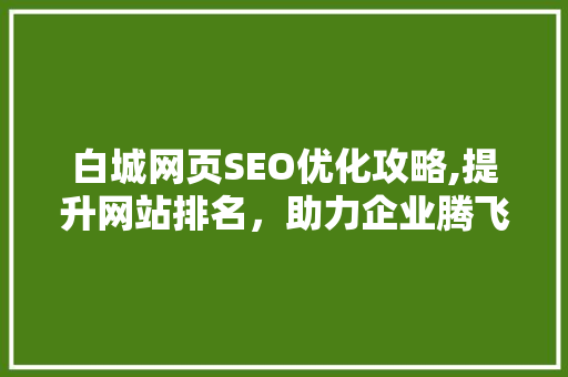 白城网页SEO优化攻略,提升网站排名，助力企业腾飞