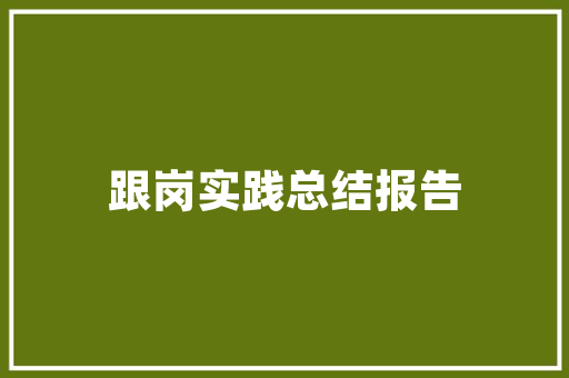 网络肉鸡SEO,如何打造高效关键词步骤，助力肉鸡养殖企业线上崛起