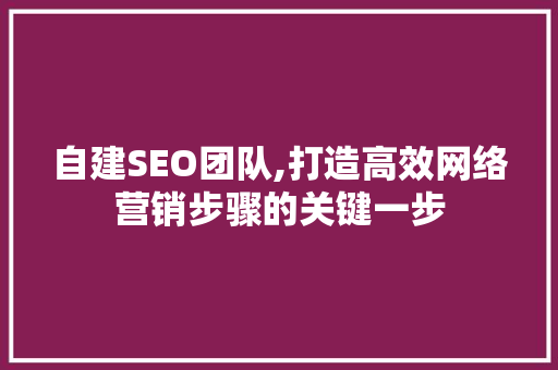 自建SEO团队,打造高效网络营销步骤的关键一步