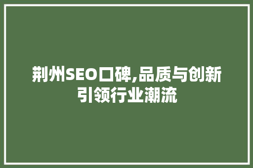 荆州SEO口碑,品质与创新引领行业潮流