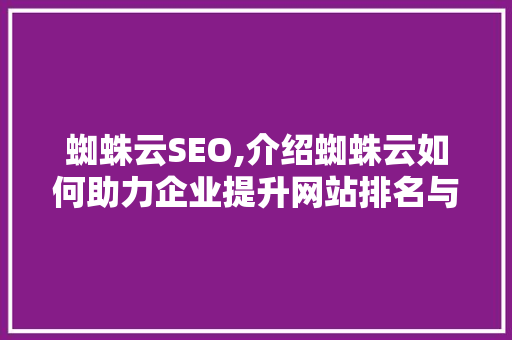 蜘蛛云SEO,介绍蜘蛛云如何助力企业提升网站排名与流量