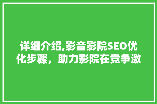 详细介绍,影音影院SEO优化步骤，助力影院在竞争激烈的市场中脱颖而出