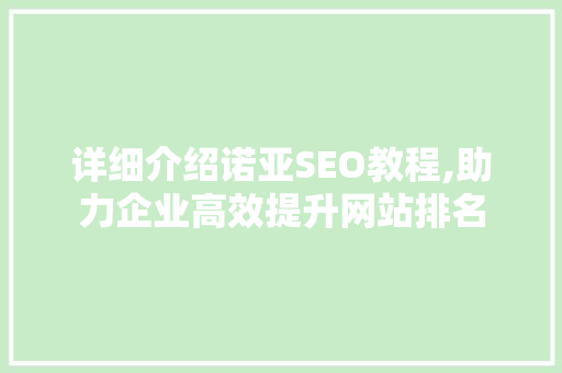 详细介绍诺亚SEO教程,助力企业高效提升网站排名