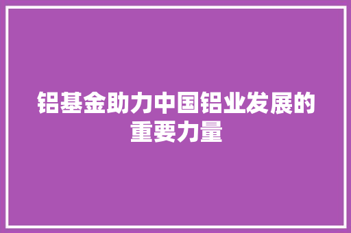 铝基金助力中国铝业发展的重要力量