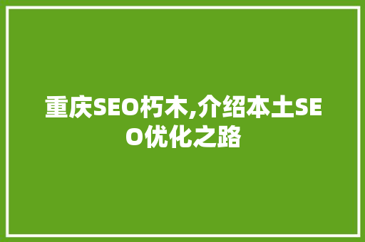 重庆SEO朽木,介绍本土SEO优化之路