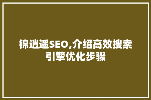 锦逍遥SEO,介绍高效搜索引擎优化步骤
