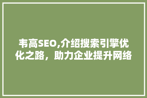 韦高SEO,介绍搜索引擎优化之路，助力企业提升网络影响力