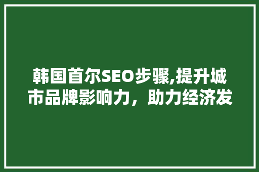 韩国首尔SEO步骤,提升城市品牌影响力，助力经济发展