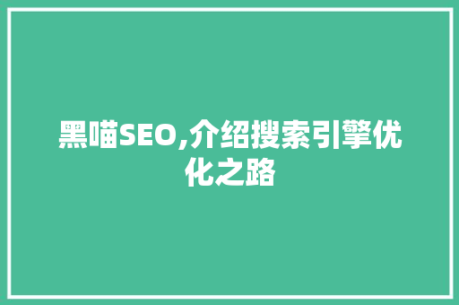黑喵SEO,介绍搜索引擎优化之路