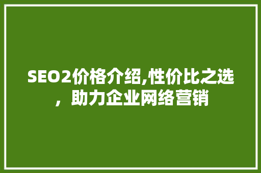 SEO2价格介绍,性价比之选，助力企业网络营销