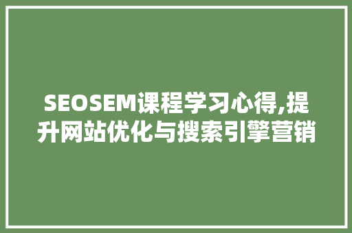 SEOSEM课程学习心得,提升网站优化与搜索引擎营销的方法