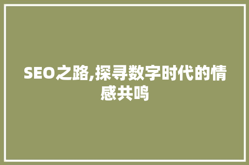SEO之路,探寻数字时代的情感共鸣