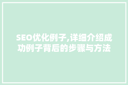 SEO优化例子,详细介绍成功例子背后的步骤与方法