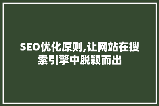 SEO优化原则,让网站在搜索引擎中脱颖而出