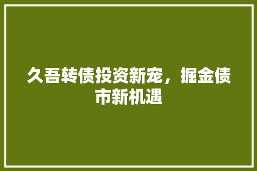 久吾转债投资新宠，掘金债市新机遇